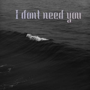 I Don't Need You