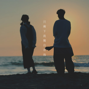 只剩下我独自看海 (prod. by Tmlm)