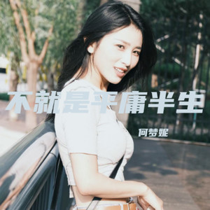 不就是平庸半生 (伴奏)