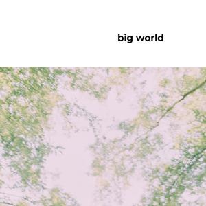 Big World (Explicit)