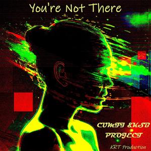 You're Not There