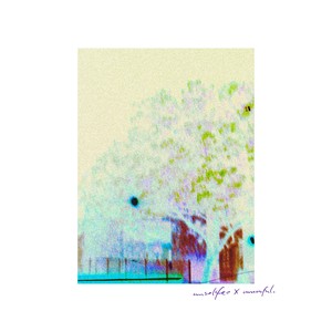 Para borrarme de ti.