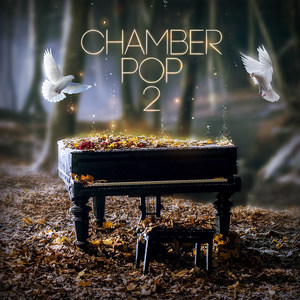 Chamber Pop 2