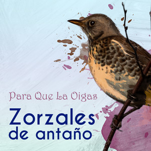 Zorzales de Antaño… Para Que La Oigas