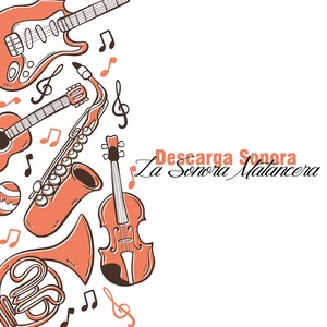 Descarga Sonora