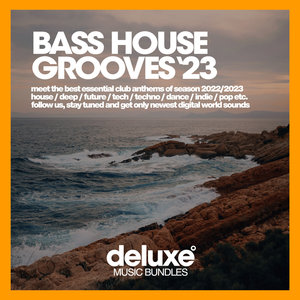 Show Me Love (Mike Porter Electro House Dub Mix)