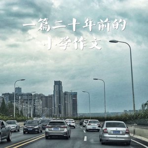 一篇二十年前的小学作文