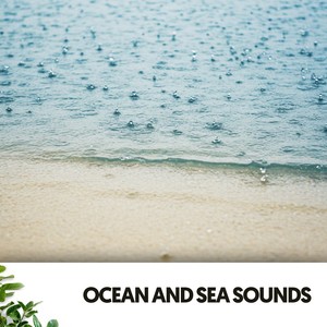 Ocean and Sea Sounds: Lullabies for the Little Dreamer