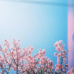 Do You Remember? (Explicit)