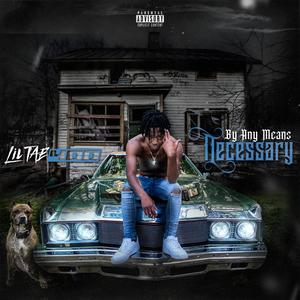 By Any Means Necessary (Explicit)