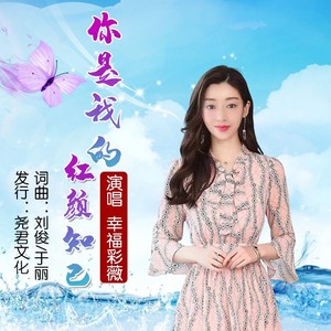 你是我的红颜知己 (伴奏)