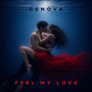Feel My Love