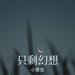 只剩幻想