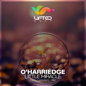 Little Miracle