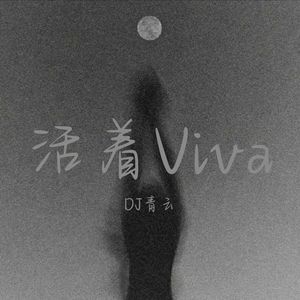 DJ青云 - 乱世V8
