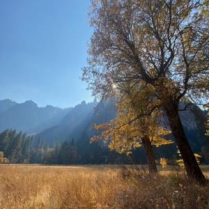 sound of silence(feat. nori)