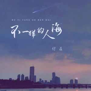 不一样的人海 (DJ楠哈哈版)封面