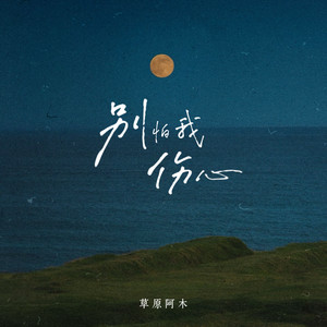 别怕我伤心 (伴奏)