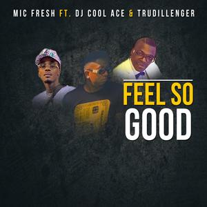 Feel So Good(feat. Kool Ace & Trudillenger) (Explicit)