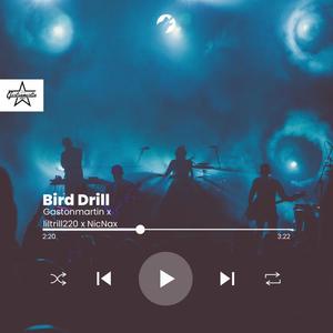 Bird Drill (feat. Nicnac strongpac & liltrill220) [Explicit]
