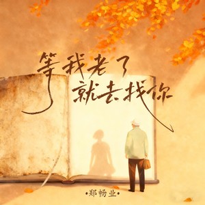 等我老了就去找你
