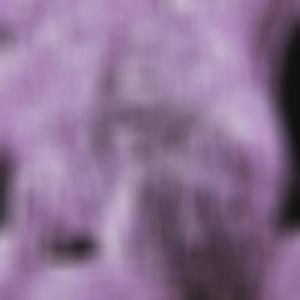 WHY SHOULD I (prod. cyfal) (Explicit)