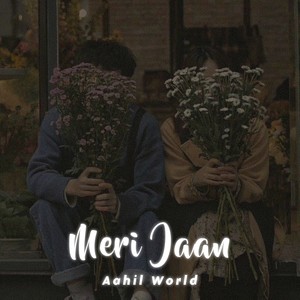 Meri Jaan (Slowed and Reverb)