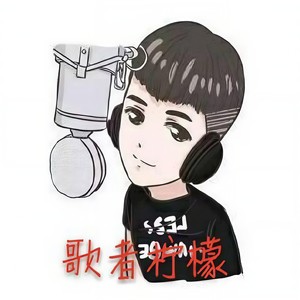 你不会遇到第二个我