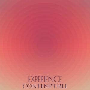 Experience Contemptible