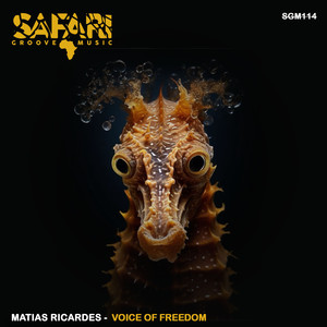 Watch out (Original Mix)