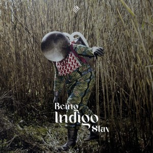 Stay Indigo (Extended Mix)