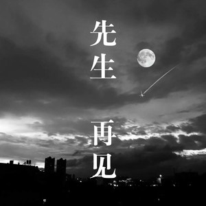 先生 再见 (Remix)