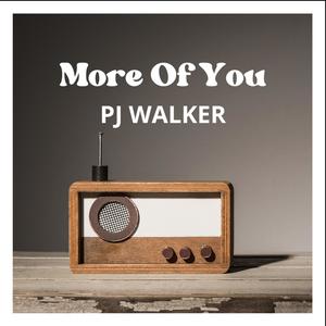 More of you (feat. Fred Johnson)