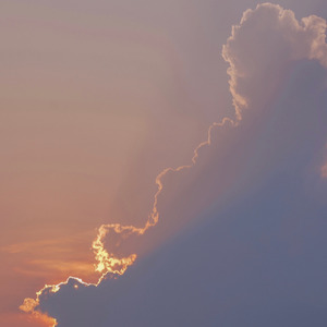 就让这大雨全都落下