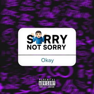 SORRY NOT SORRY (Explicit)