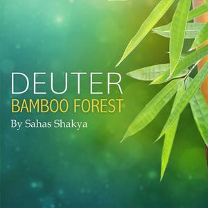 Deuter Bamboo Forest 2