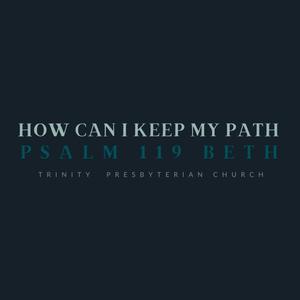 How Can I Keep My Path (Psalm 119 BETH) (feat. Caroline Lovelace)