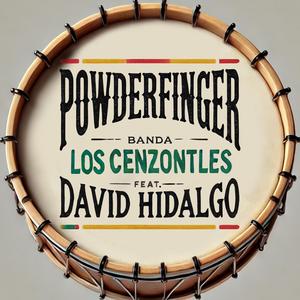 Powderfinger (feat. David Hidalgo)