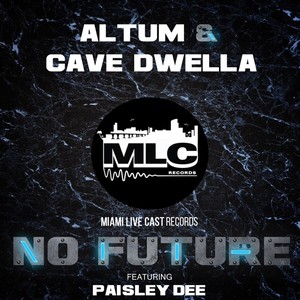 No Future (Original Mix)