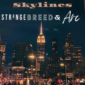 Skylines (feat. Arc) (Explicit)