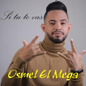 Si tu te vas (Explicit)