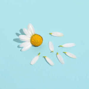 Love me not (Explicit)