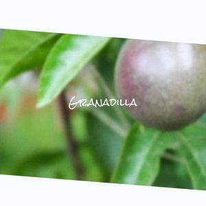 Granadilla