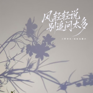 风轻轻说别追问太多