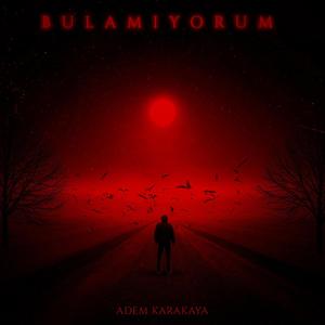 BULAMIYORUM