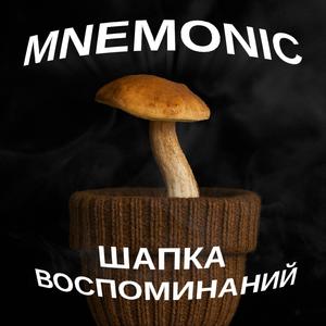 Шапка Воспоминаний (Explicit)