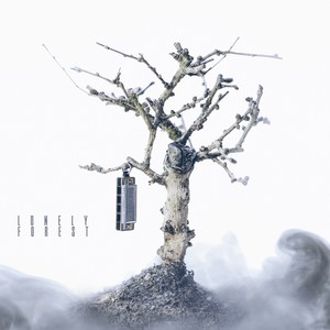 Lonely Forest