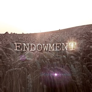 Endowment