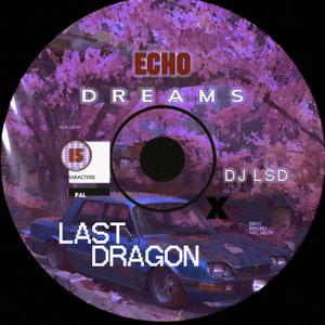 ECHO DREAMS (feat. LXST DRAGON) (Slowed + Reverb)