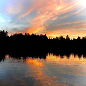 Lechblick (Explicit)